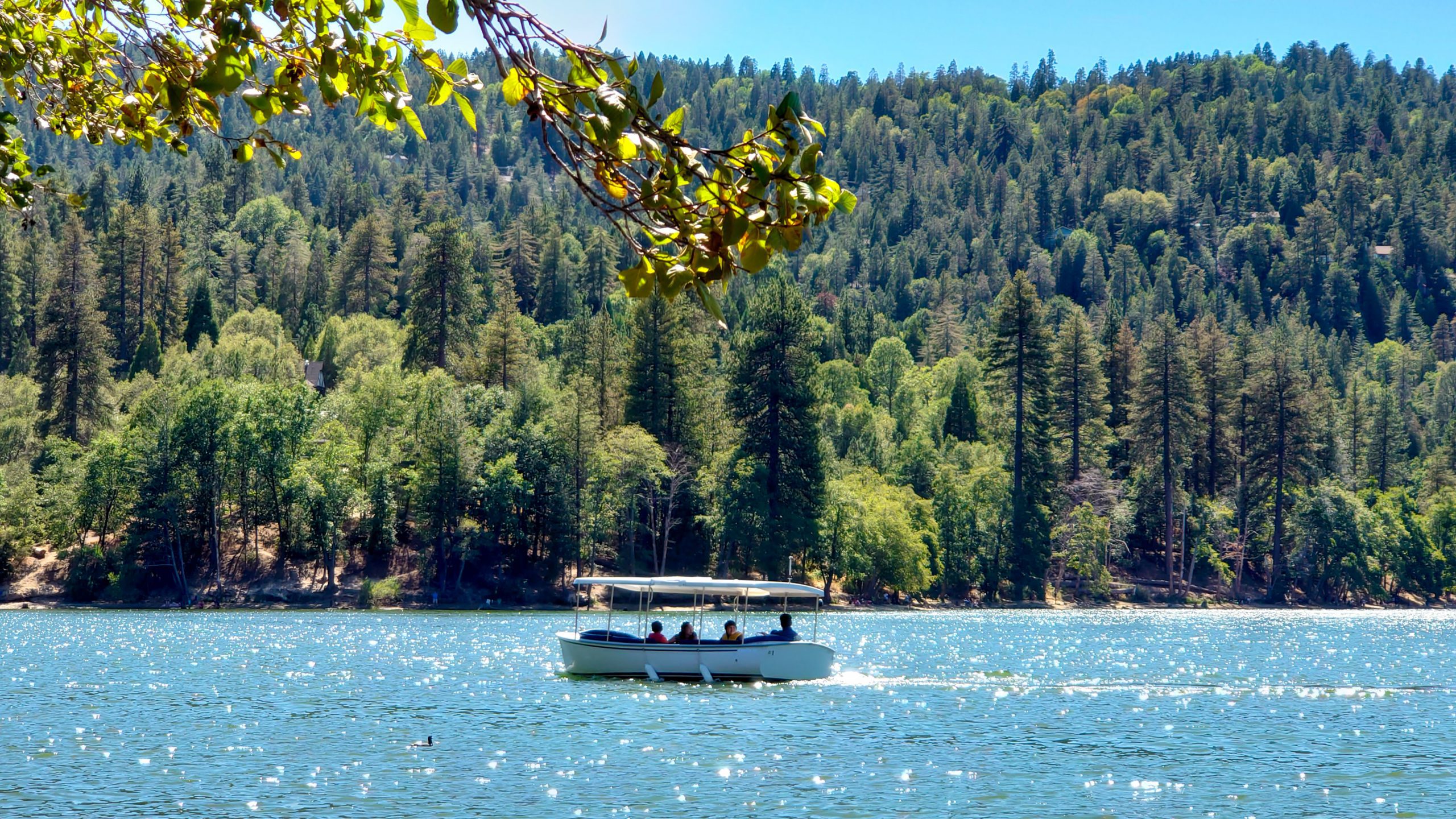 A boat sitting on a lake surrounded by a forest.