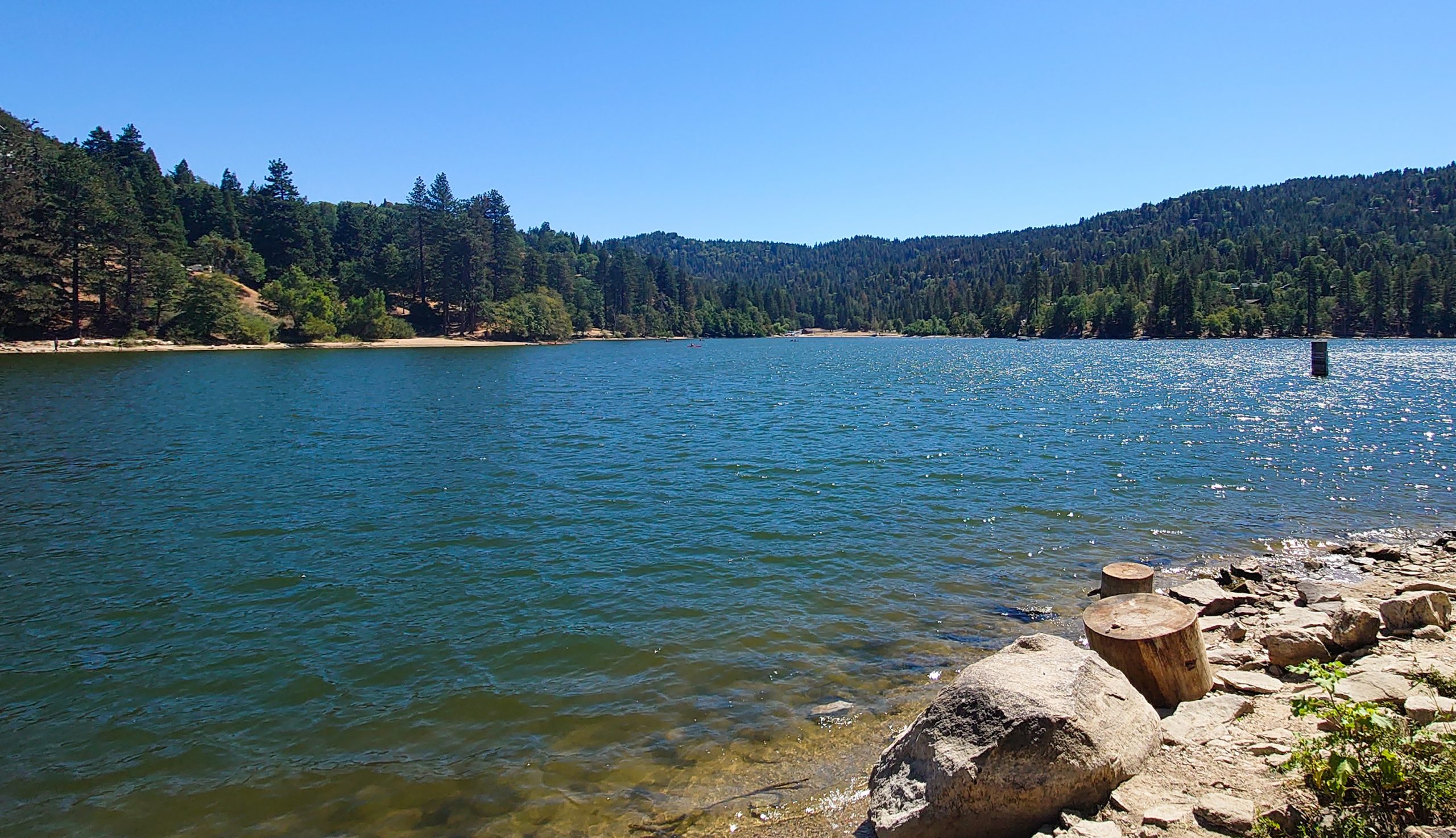 View a lake surrounded by a forest.