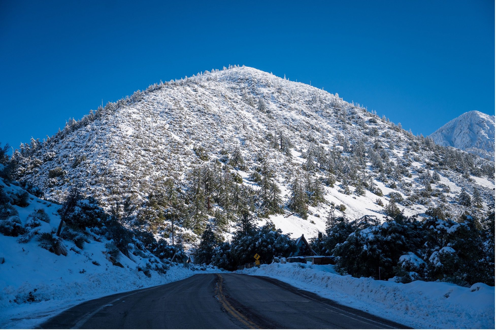 Snowy mountains surrounded by trees and a curvy road.