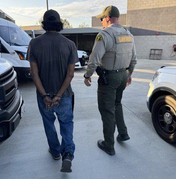 Sheriff escorts a handcuffed person through a parking area between patrol vehicles.