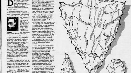 Newspaper article titled "Calico Man at 25" discussing controversies over archaeological findings at the Calico Early Man Site, featuring illustrations of a skull, stone tools, and a site map. Includes a small portrait of Kasper, treasurer of the Friends of the Calico Early Man Site.