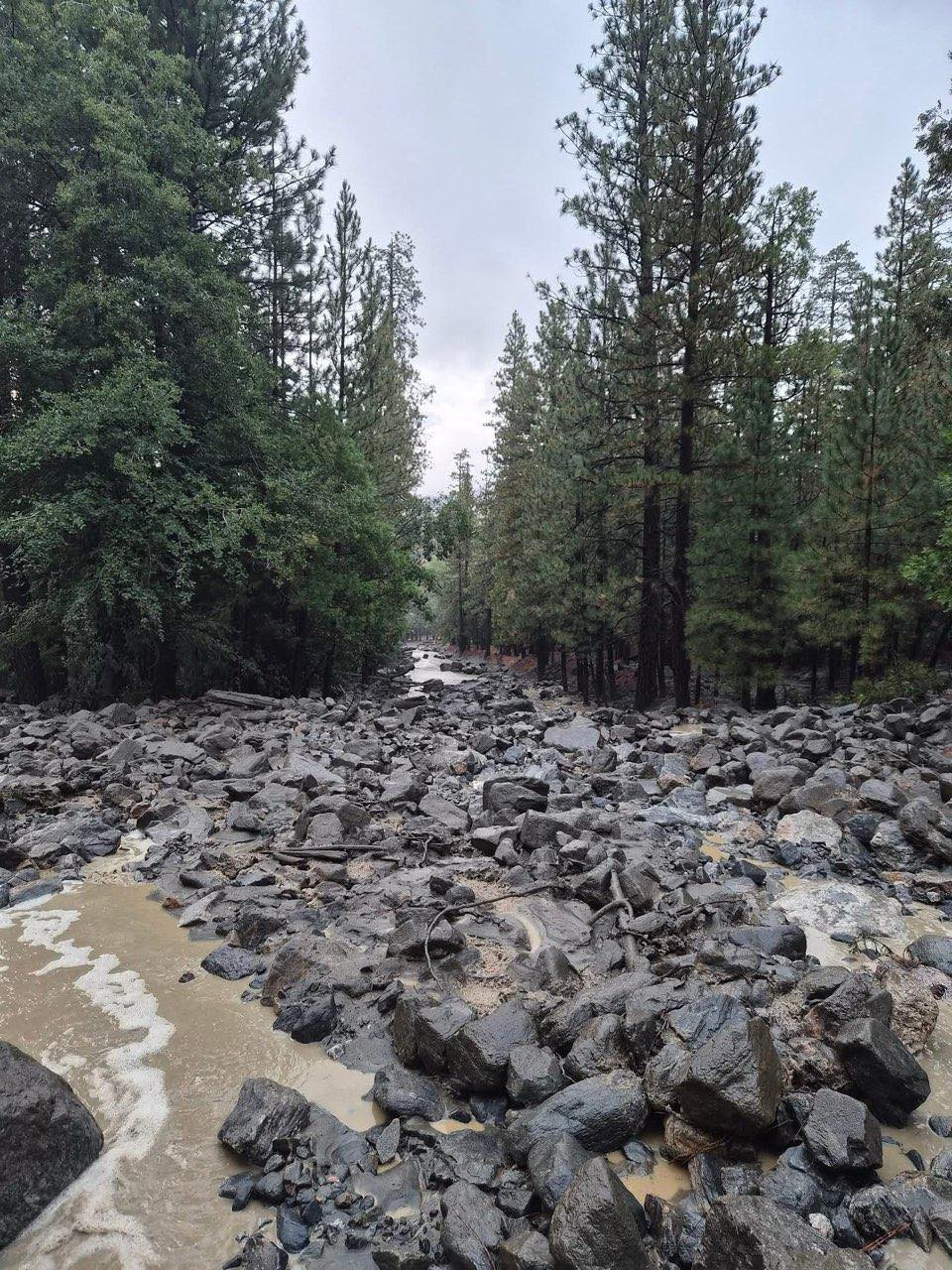 A muddy stream flows through a forested area filled with large rocks and debris after a rockslide, surrounded by tall pine trees under a cloudy sky.